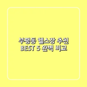 부평동 헬스장 추천 BEST 5 완벽 비교