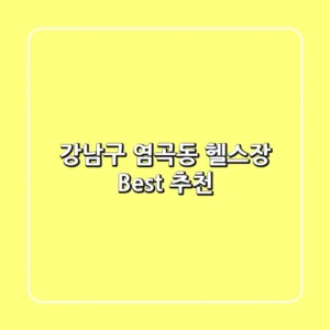 강남구 염곡동 헬스장 Best 추천