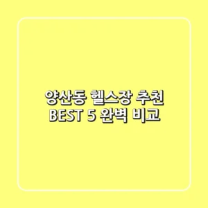 양산동 헬스장 추천 BEST 5 완벽 비교