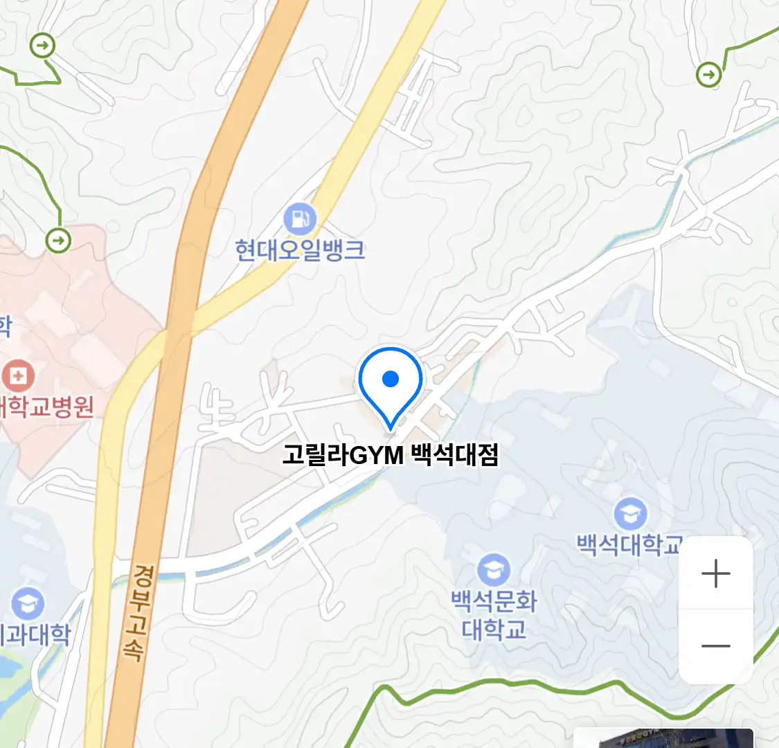고릴라GYM 백석대점