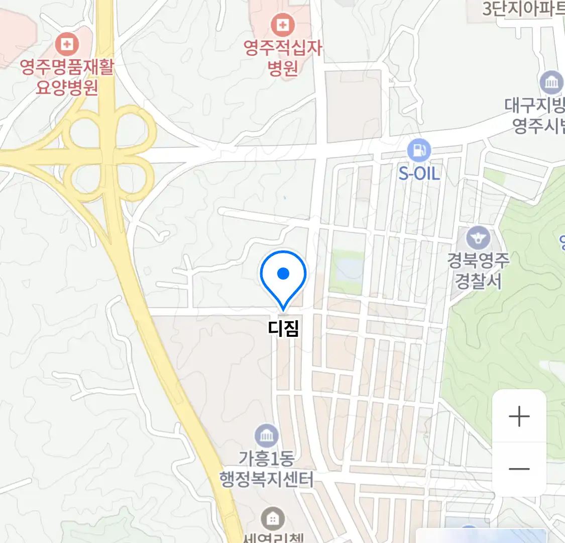 디짐