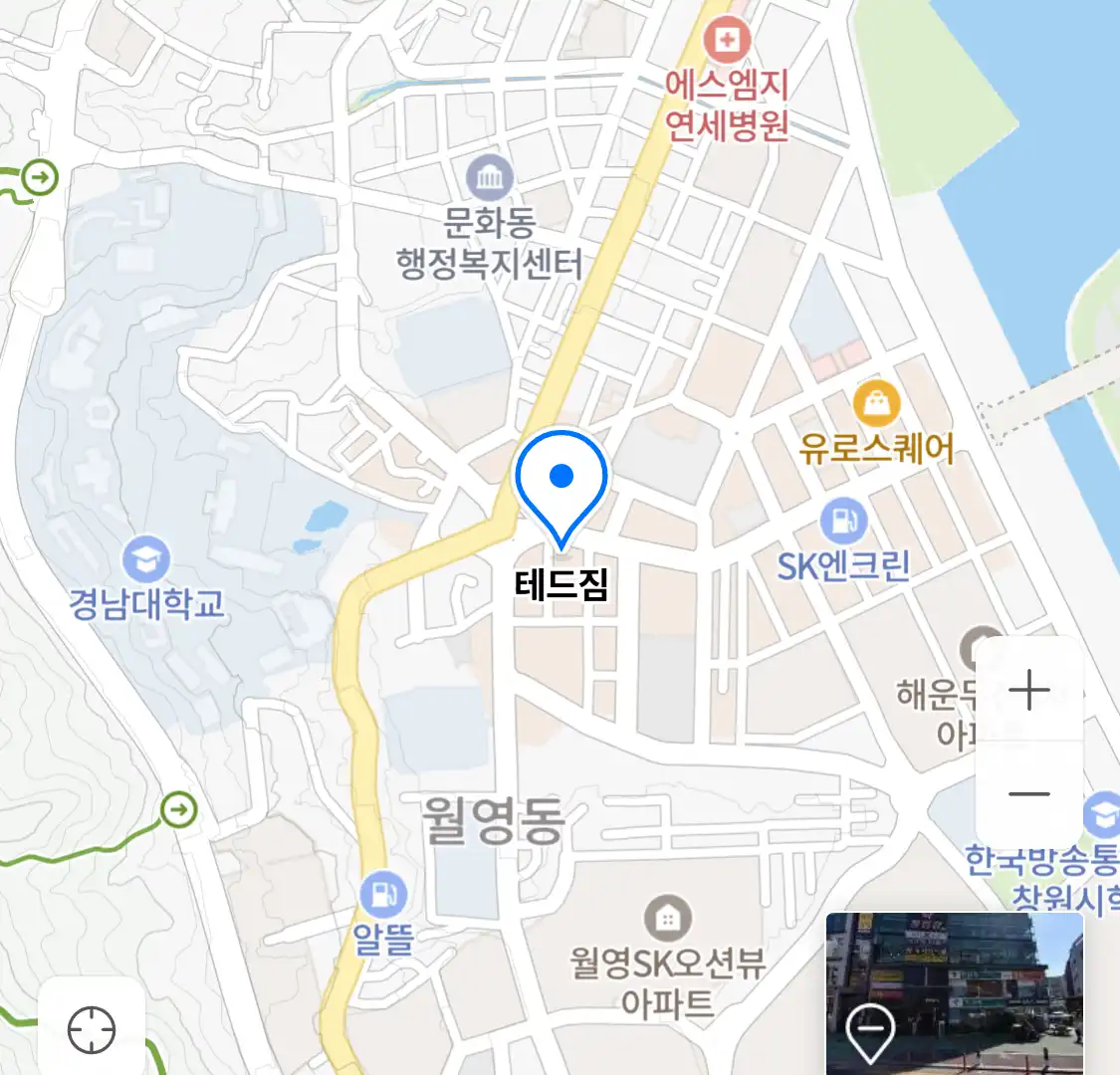 테드짐