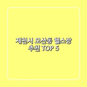 제천시 모산동 헬스장 추천 TOP 5