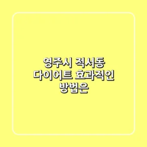 영주시 적서동 다이어트, 효과적인 방법은?