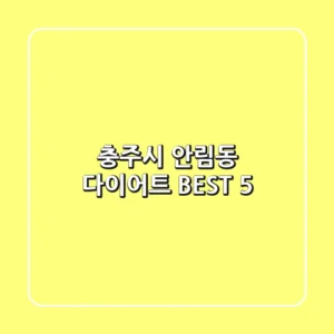 충주시 안림동 다이어트 BEST 5