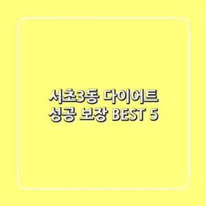 서초3동 다이어트 성공 보장 BEST 5