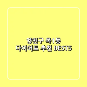 양천구 목1동 다이어트 추천 BEST5