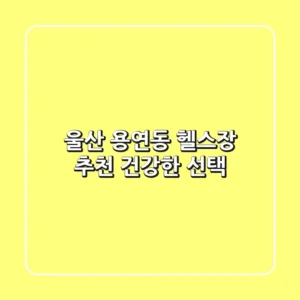 울산 용연동 헬스장 추천: 건강한 선택!