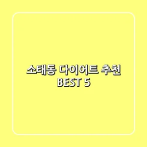 소태동 다이어트 추천 BEST 5