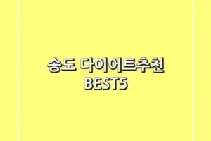 송도 다이어트🥗추천 BEST5