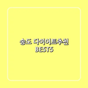 송도 다이어트🥗추천 BEST5