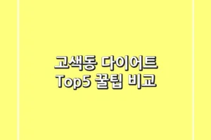 고색동 다이어트 Top5 꿀팁 비교