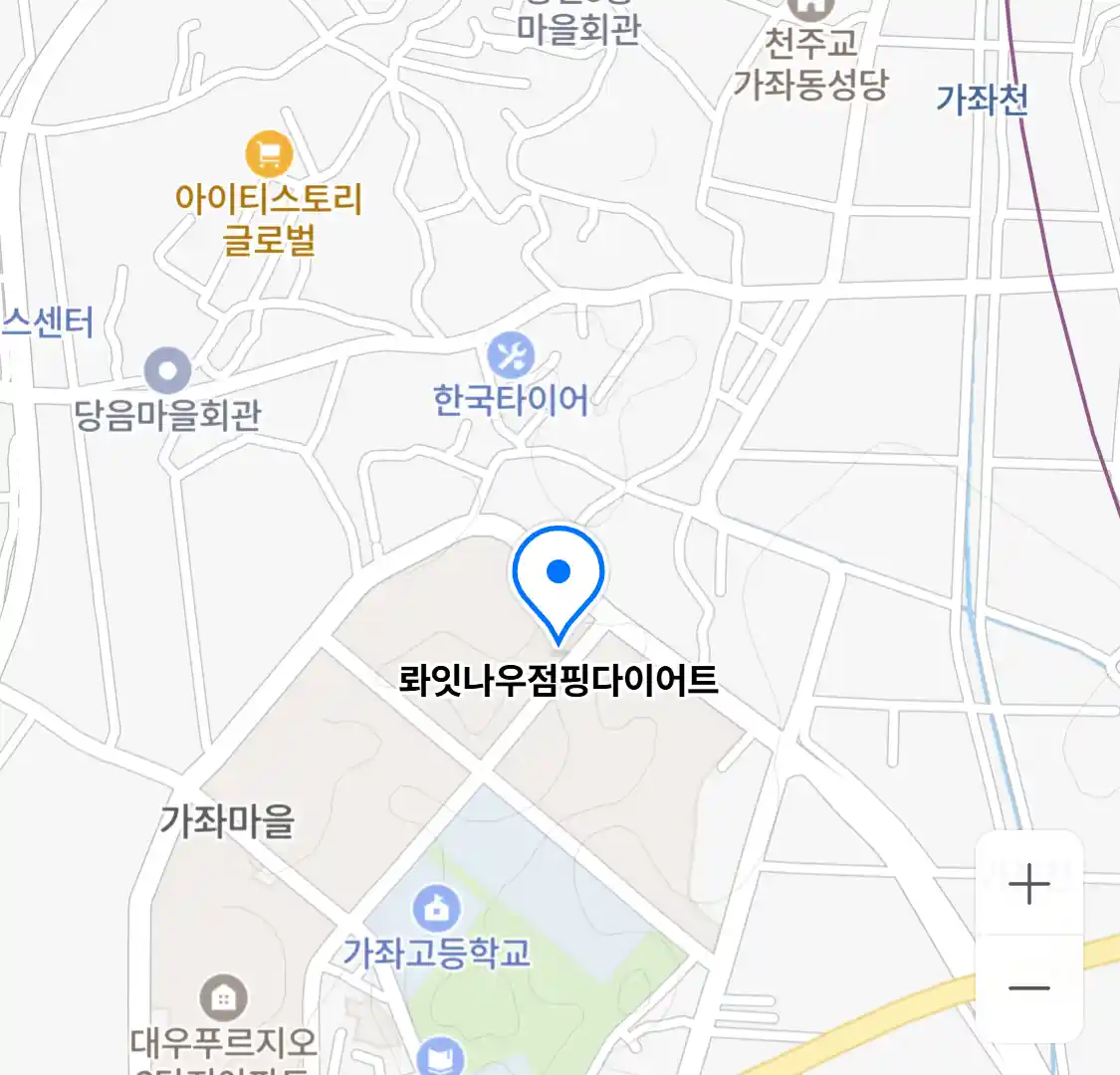 롸잇나우점핑다이어트