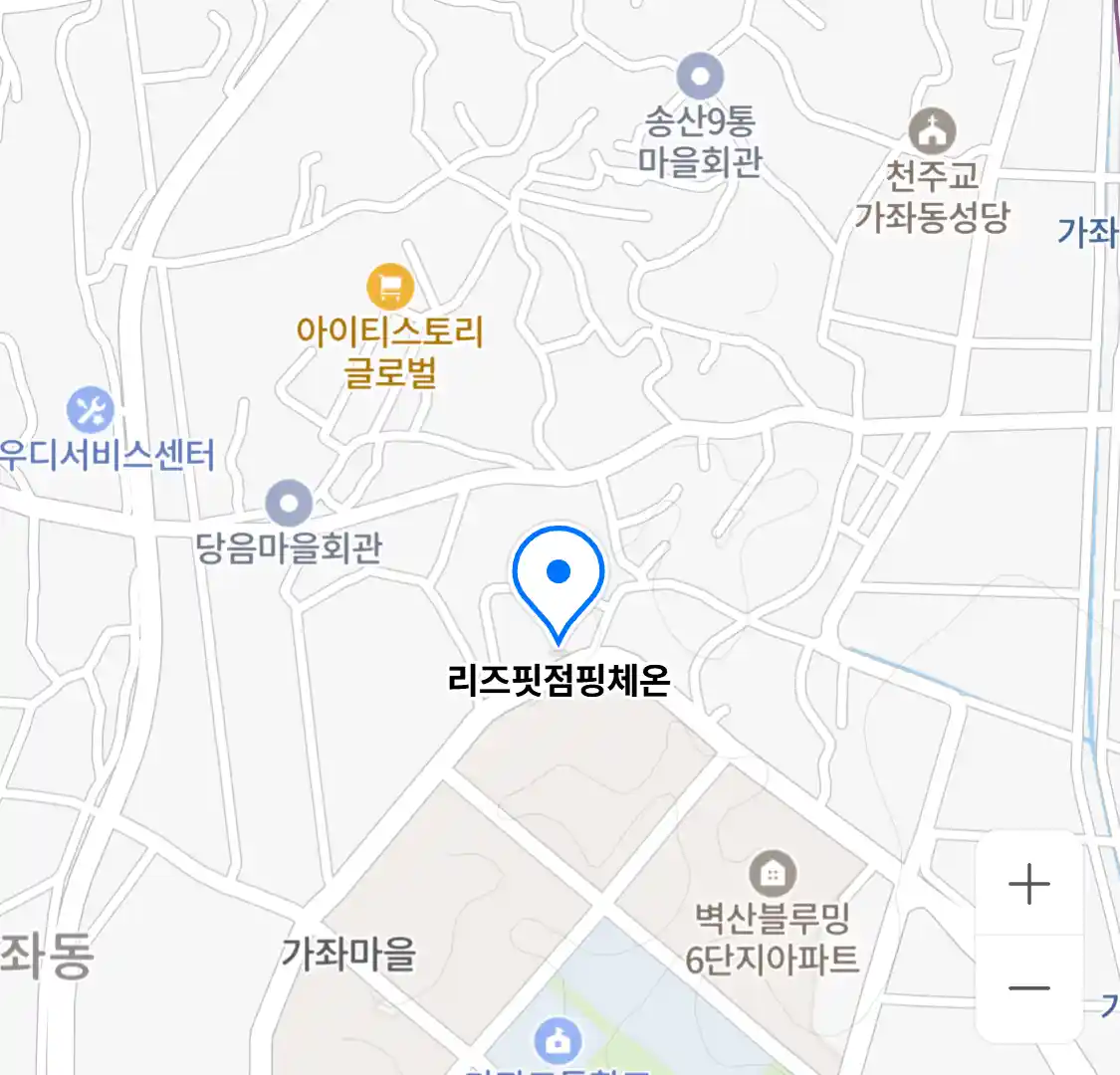 리즈핏점핑체온