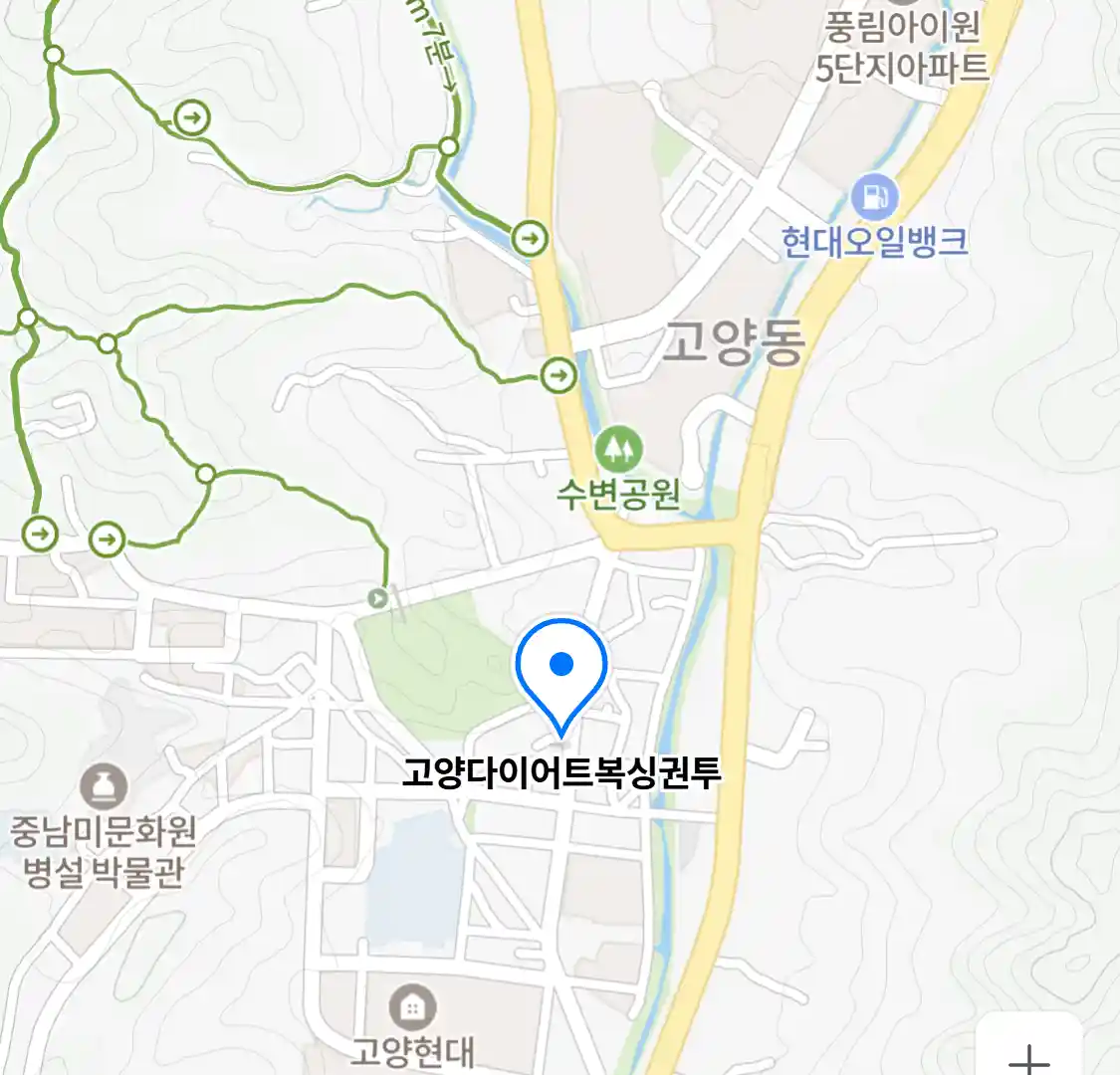 고양다이어트복싱권투
