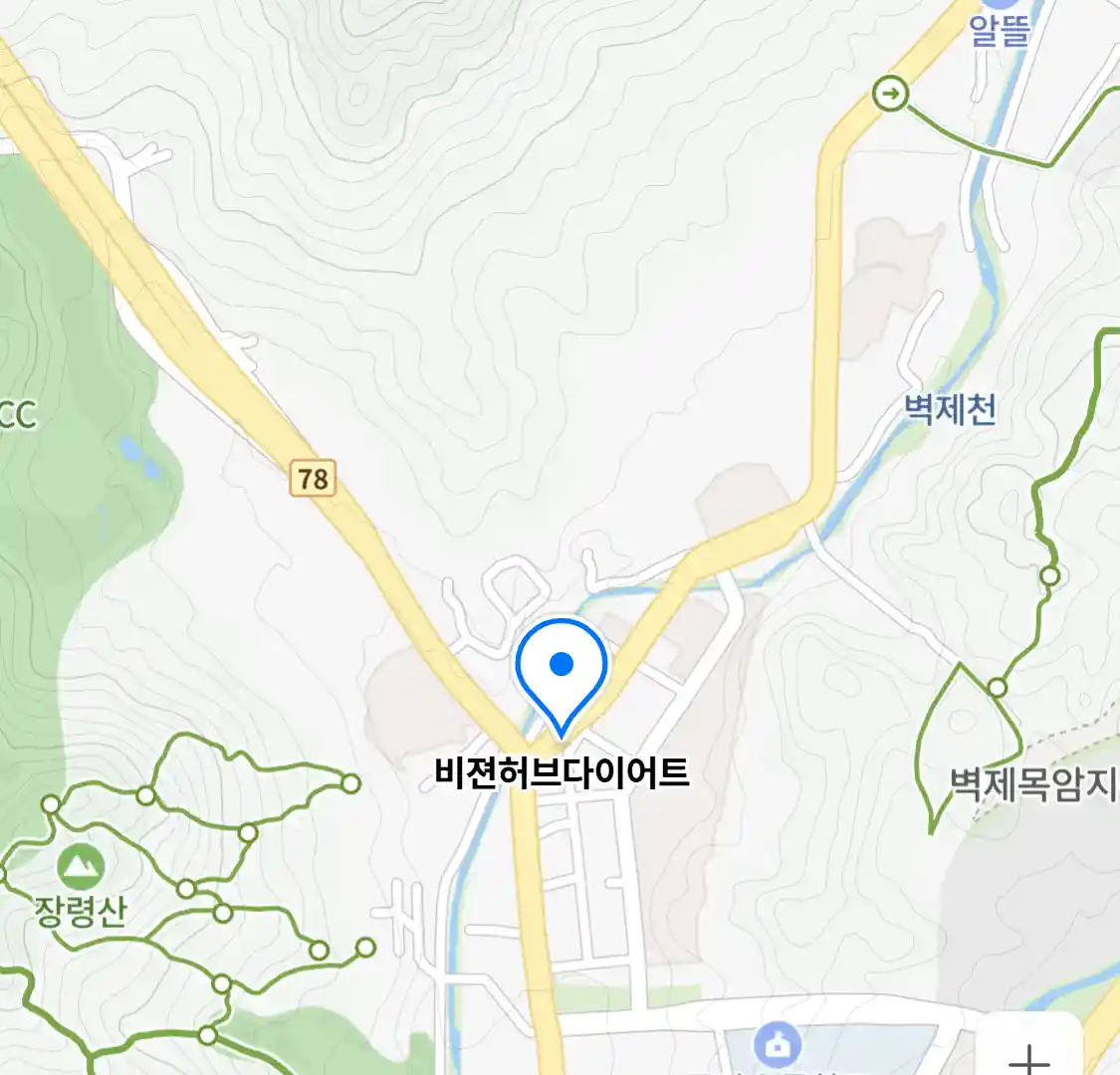 비젼허브다이어트