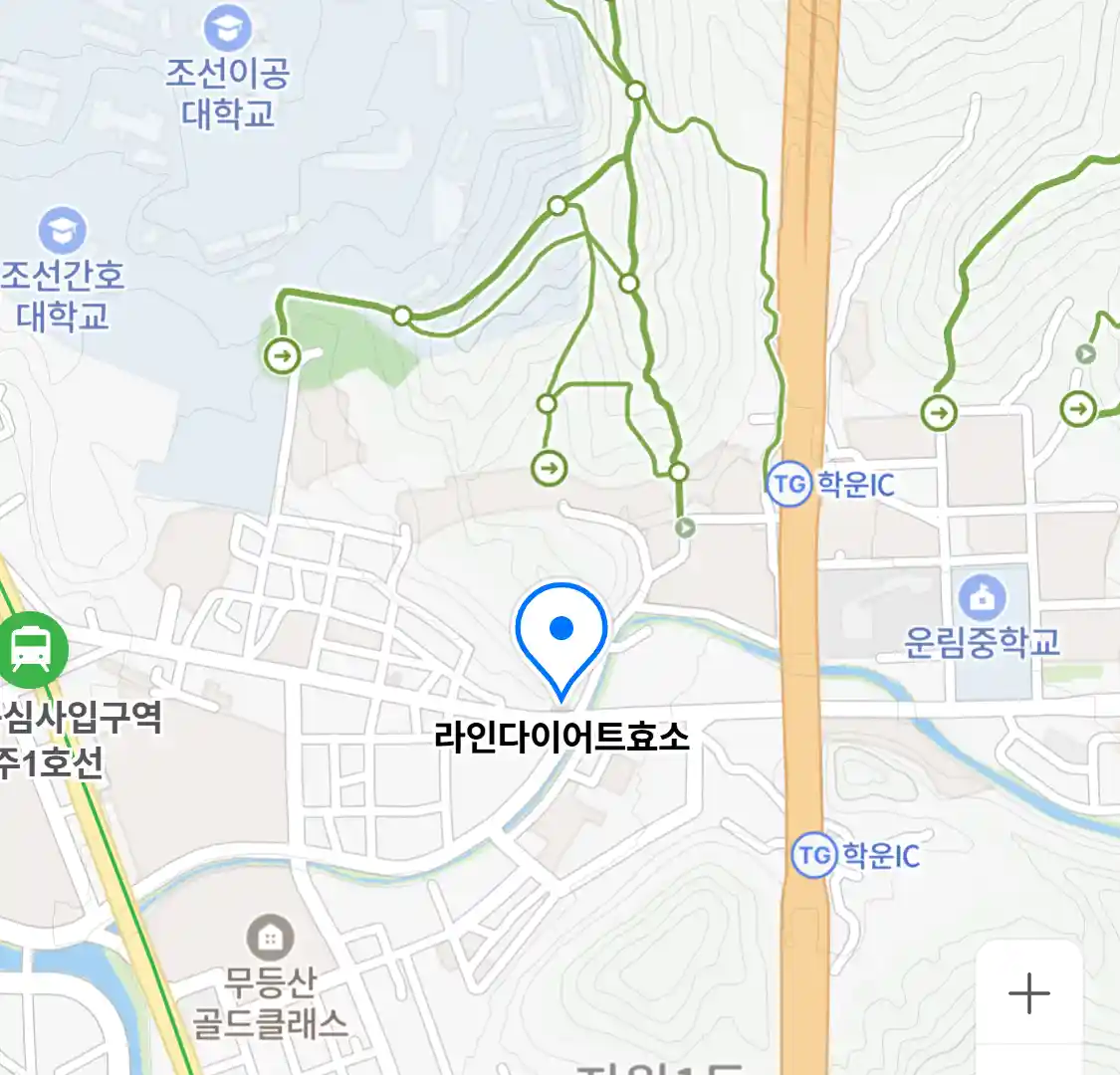 라인다이어트효소