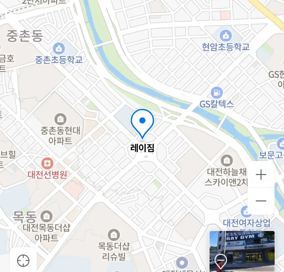 레이짐