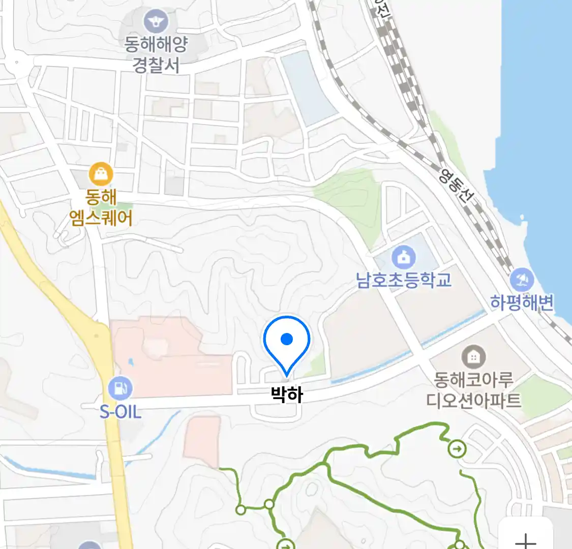 박하