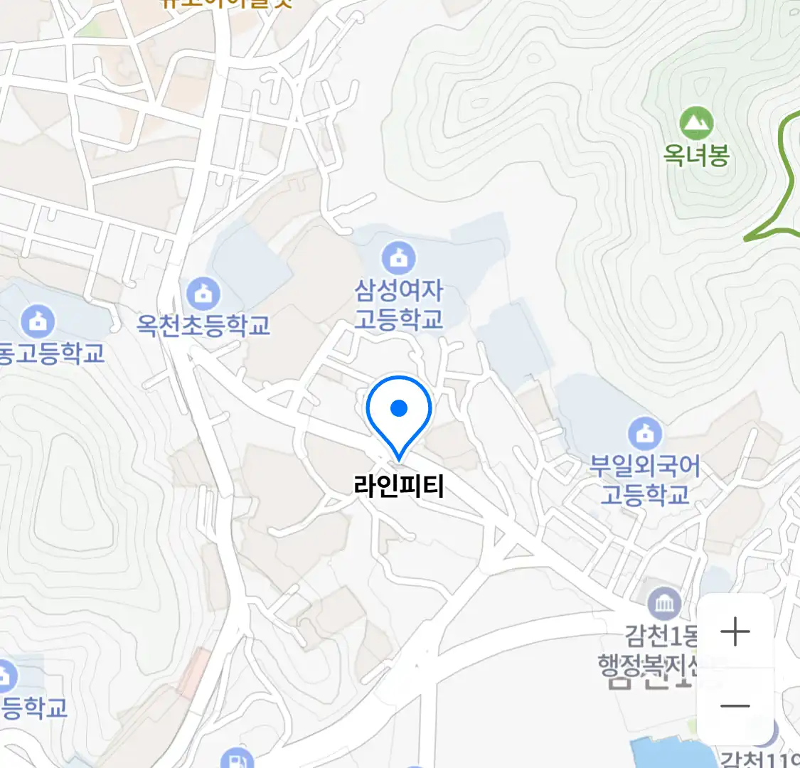 라인피티