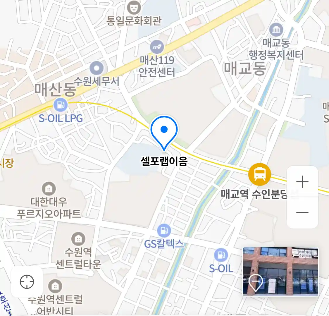 셀포랩이음