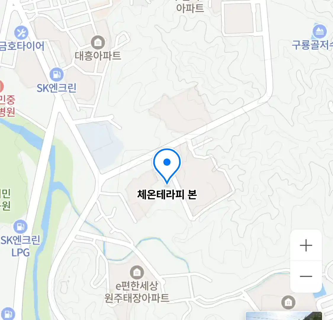체온테라피 본