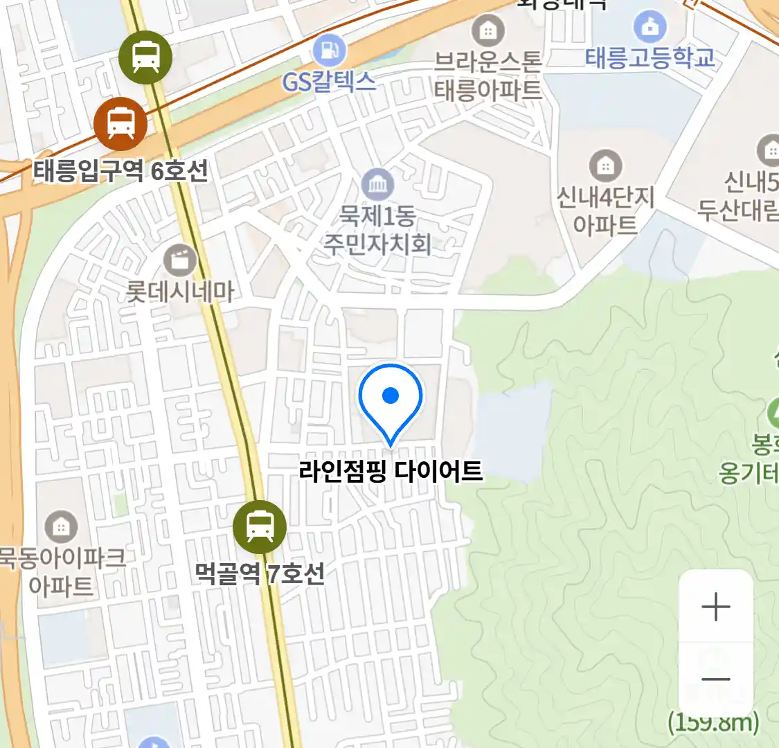 라인점핑 다이어트