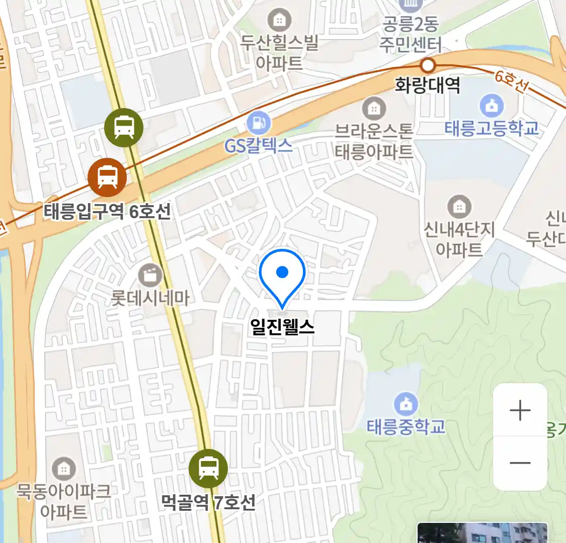 일진웰스