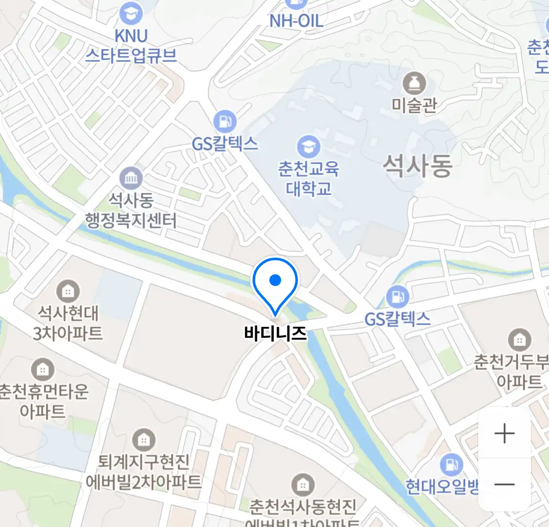 바디니즈