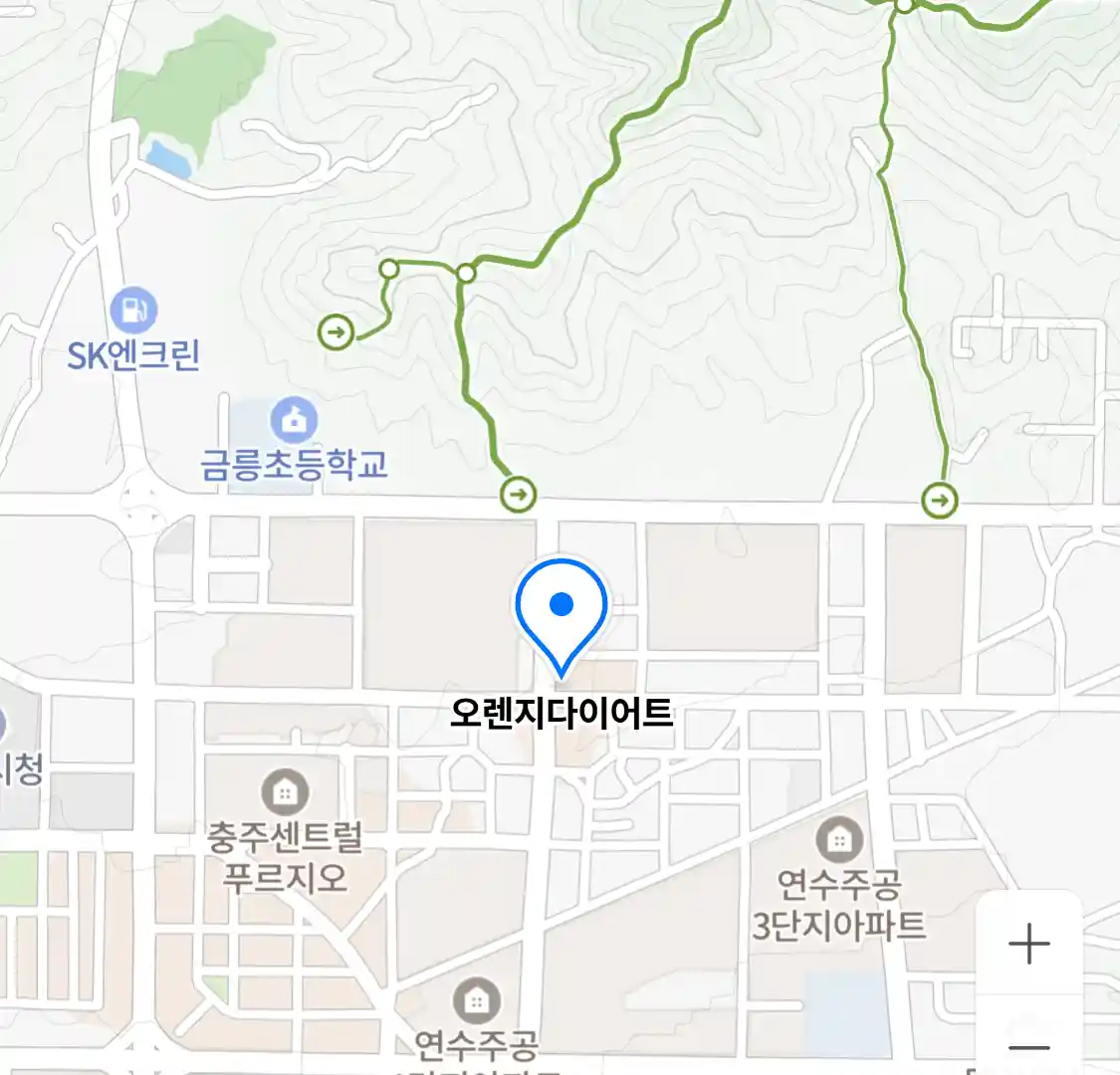 오렌지다이어트