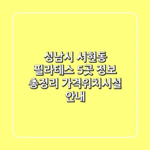 성남시 서현동 필라테스 5곳 정보 총정리 - 가격/위치/시설 안내