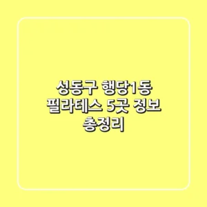 성동구 행당1동 필라테스 5곳 정보 총정리