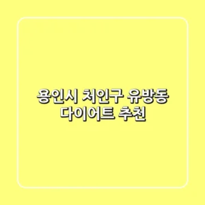 용인시 처인구 유방동 다이어트 추천