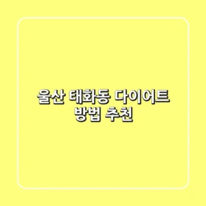 울산 태화동 다이어트 방법 & 추천