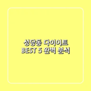 성당동 다이어트 BEST 5 완벽 분석