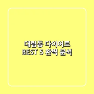 대림동 다이어트 BEST 5 완벽 분석