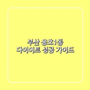 부산 용호1동 다이어트: 성공 가이드