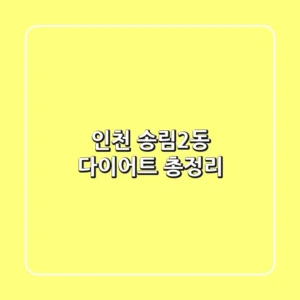 인천 송림2동 다이어트 총정리