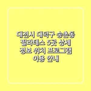 대전시 대덕구 송촌동 필라테스 5곳 상세 정보 - 위치, 프로그램, 이용 안내