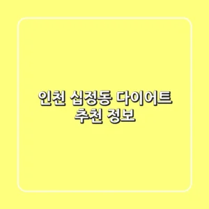 인천 십정동 다이어트 추천 정보