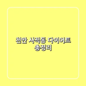 천안 사직동 다이어트 총정리