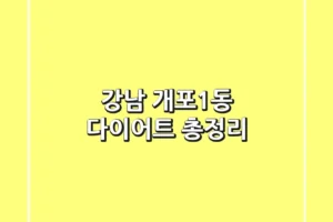 강남 개포1동 다이어트 총정리