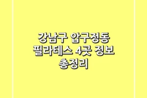 강남구 압구정동 필라테스 4곳 정보 총정리
