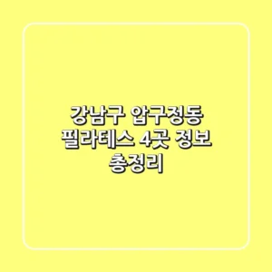 강남구 압구정동 필라테스 4곳 정보 총정리