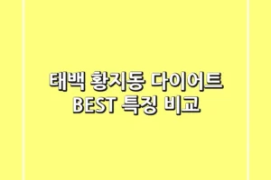 태백 황지동 다이어트 BEST 특징 비교
