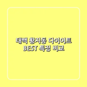 태백 황지동 다이어트 BEST 특징 비교