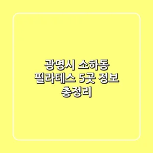 광명시 소하동 필라테스 5곳 정보 총정리