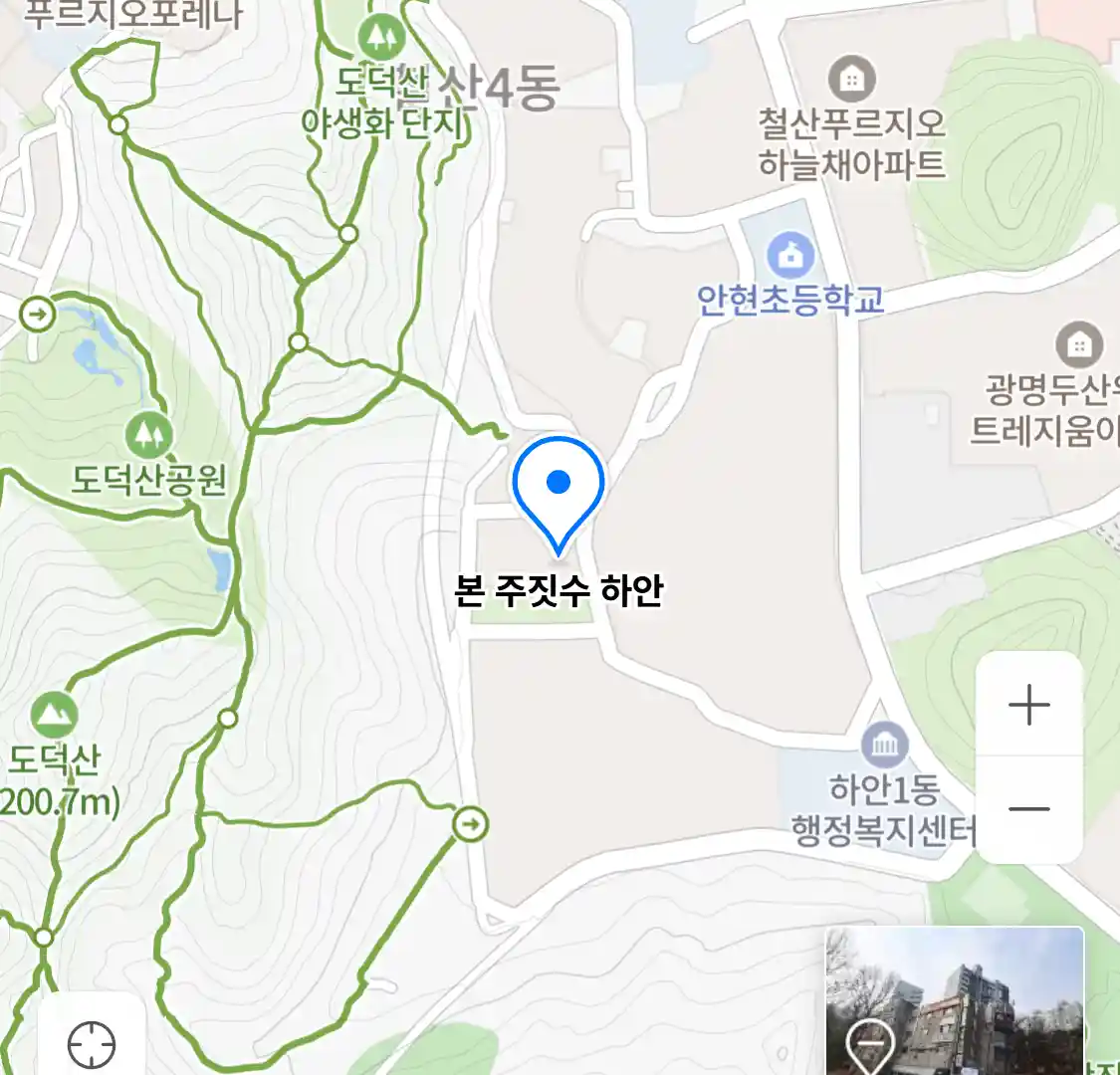 본 주짓수 하안