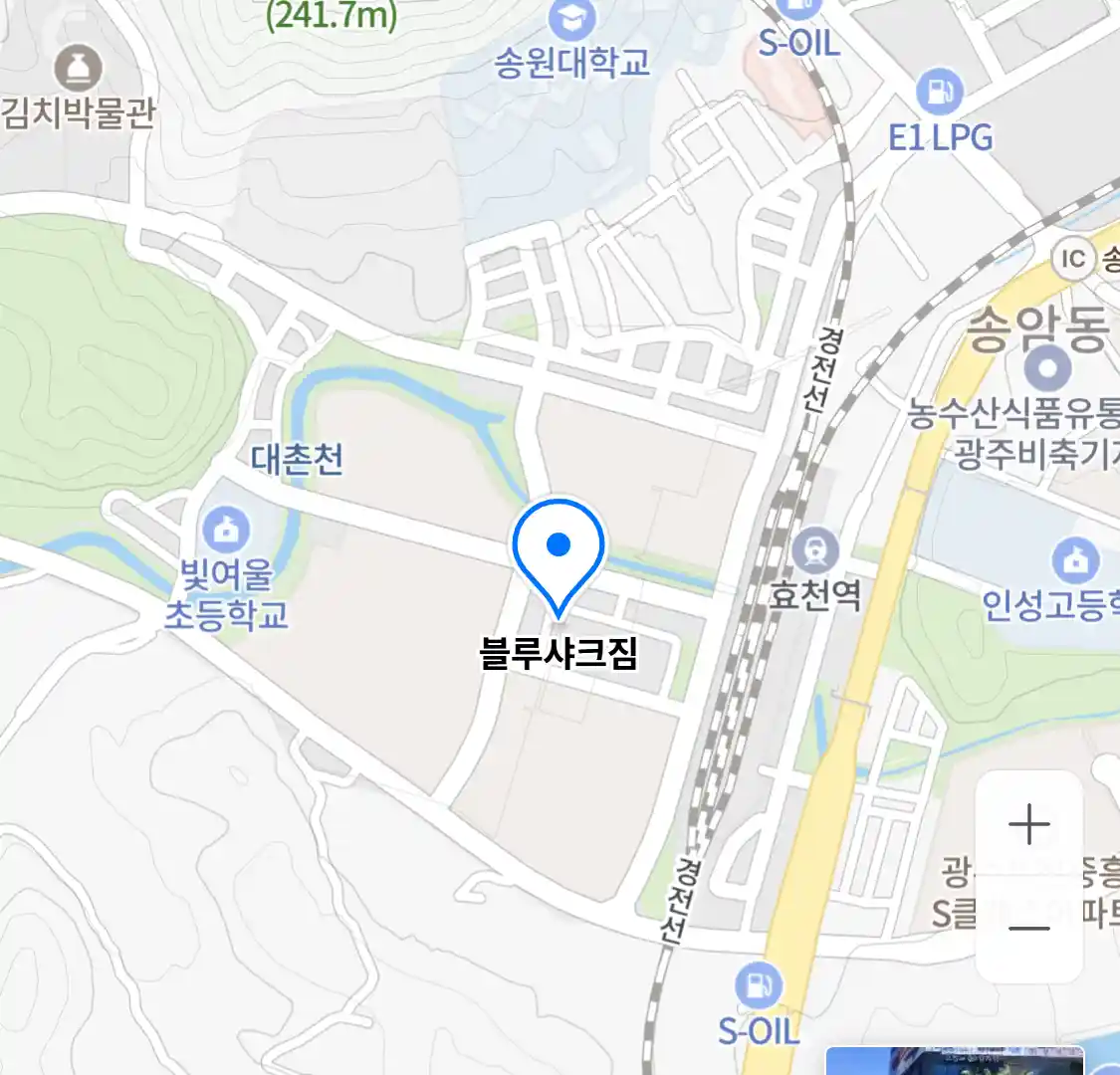 블루샤크짐