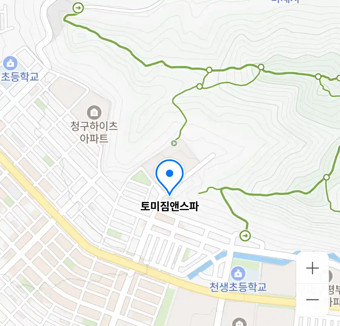 토미짐앤스파